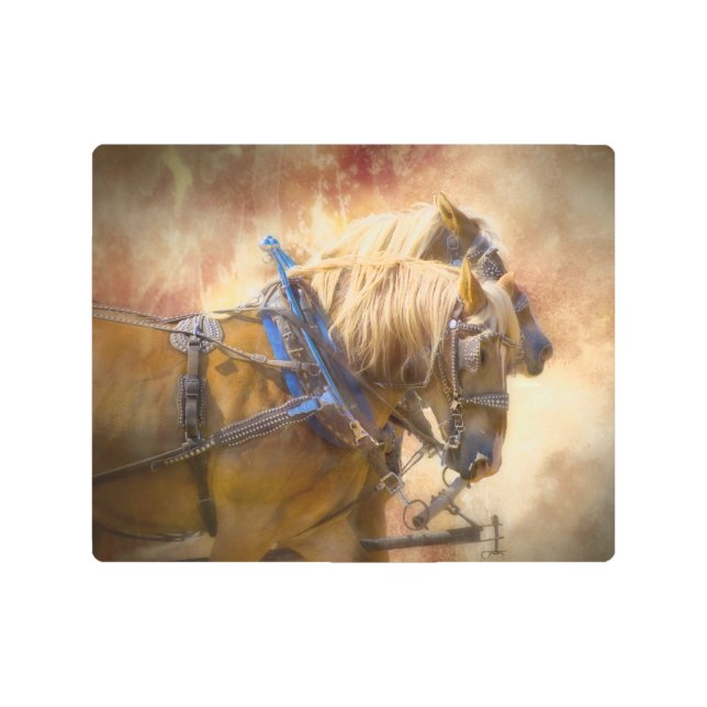 Impresión En Metal Caballos de proyecto en arnés (Anverso)