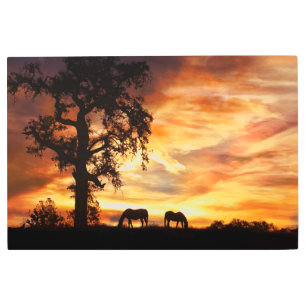 Impresión En Metal Caballos del Suroeste al atardecer
