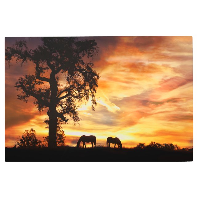 Impresión En Metal Caballos del Suroeste al atardecer (Anverso)