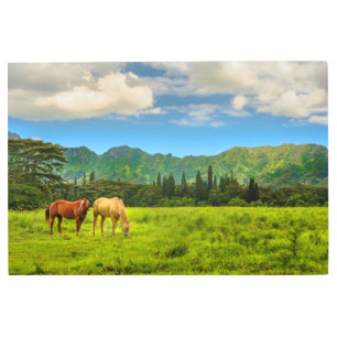 Impresión En Metal Caballos hawaianos, Pico Hokulei, Kauai, Hawai