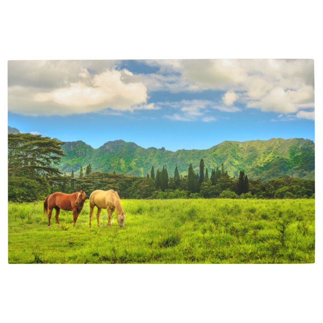 Impresión En Metal Caballos hawaianos, Pico Hokulei, Kauai, Hawai (Anverso)