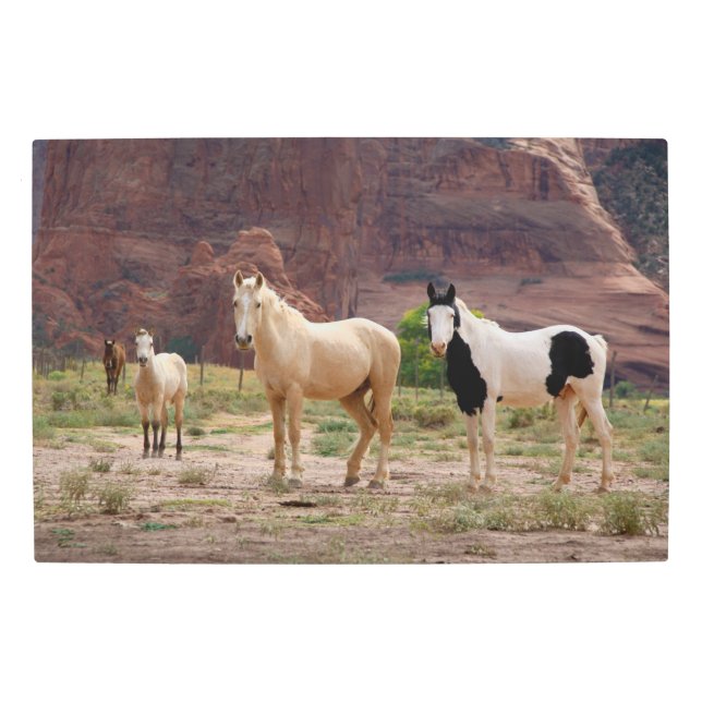 Impresión En Metal Caballos navajos libres en el piso de cañón (Anverso)