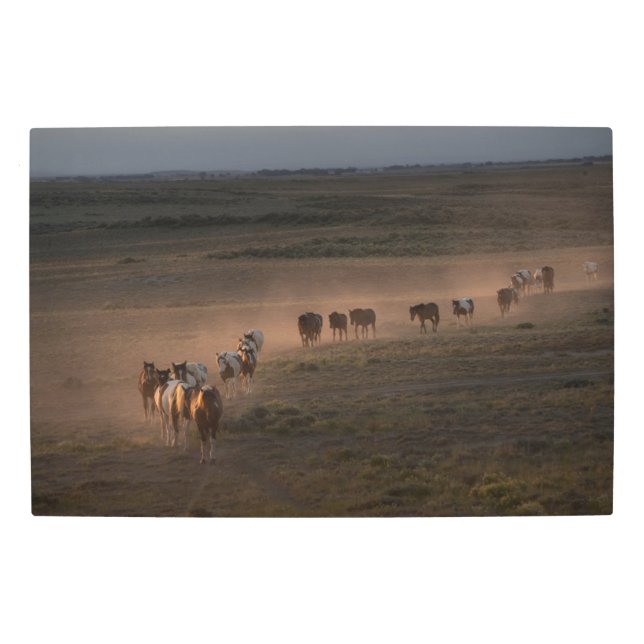 Impresión En Metal Caballos salvajes caminando hacia el desierto (Anverso)