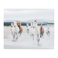 Caballos salvajes corriendo en la playa