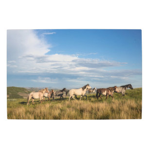 Impresión En Metal Caballos salvajes en el Parque Nacional Theodore R