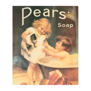 Impresión En Metal Cachorro Tomando Un Baño Antiguo Vintage