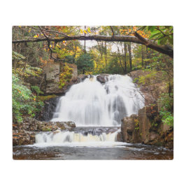 Impresión En Metal Cae Hawk en otoño 24"x20"