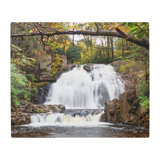 Impresión En Metal Cae Hawk en otoño 24"x20" (Anverso)