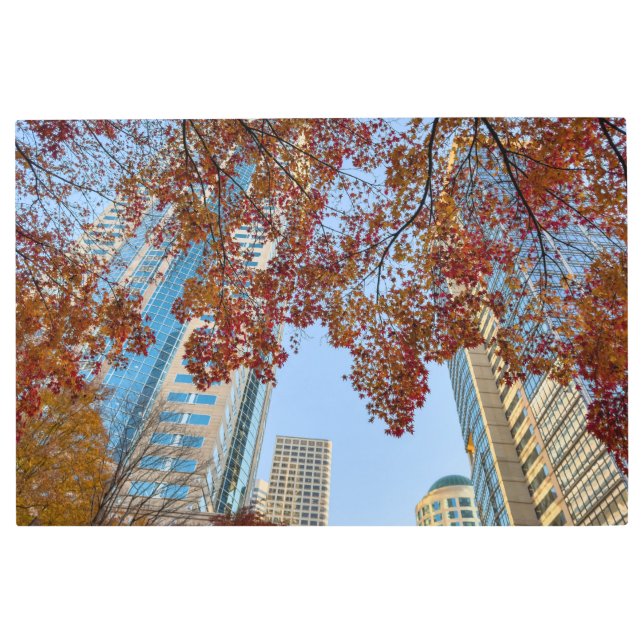 Impresión En Metal Caída en la ciudad (Anverso)