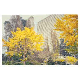 Impresión En Metal Caída en la ciudad