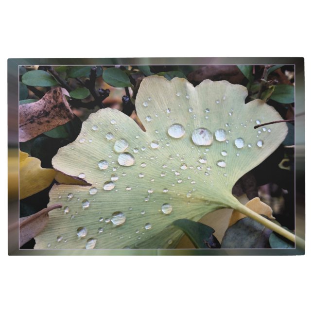 Impresión En Metal Caídas de lluvia (Anverso)