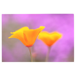 Impresión En Metal California Poppies