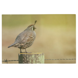 Impresión En Metal California Quail