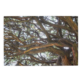 Impresión En Metal Caminando hacia el cielo