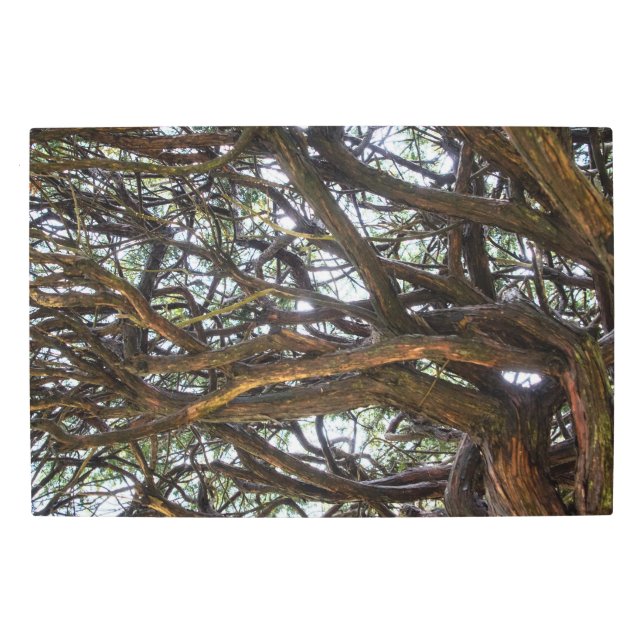 Impresión En Metal Caminando hacia el cielo (Anverso)