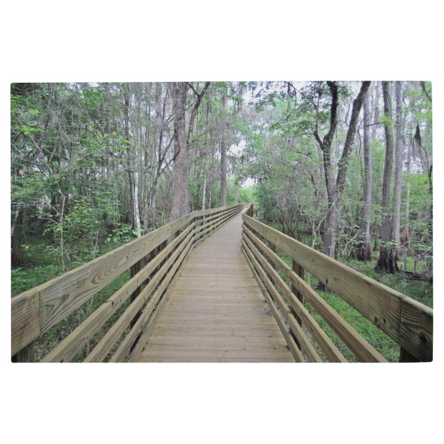 Impresión En Metal Caminata por los bosques creada como (Anverso)