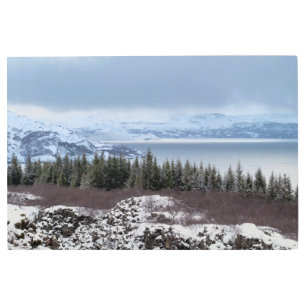 Impresión En Metal Camino abierto congelado