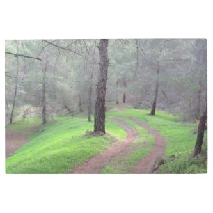 Impresión En Metal Camino de Pine Forest
