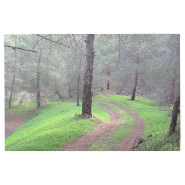 Impresión En Metal Camino de Pine Forest (Anverso)