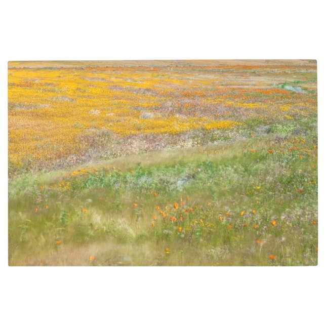 Impresión En Metal Campo de flores silvestres (Anverso)