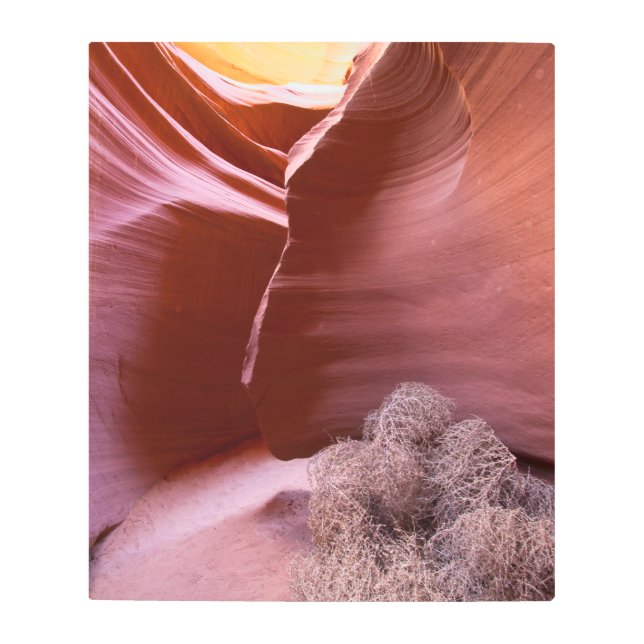 Impresión En Metal Cañón de muchos colores (Anverso)