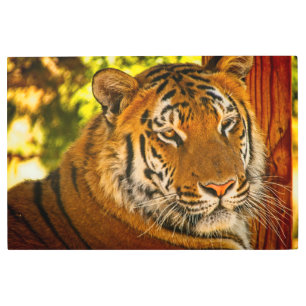 Impresión En Metal Cara majestuosa 36 X 24