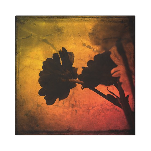 Impresión En Metal Carnaciones multicolores (Anverso)