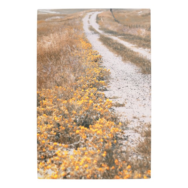 Impresión En Metal Carretera con líneas de flor amarilla (Anverso)