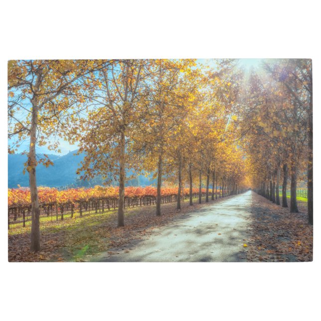Impresión En Metal Carretera por el viñedo (Anverso)