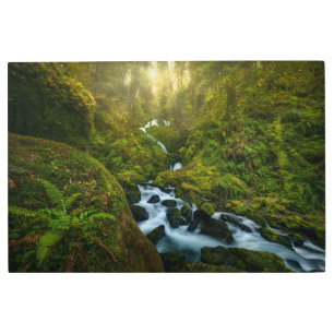 Impresión En Metal Cataratas Parque Nacional Olímpico, Washington