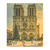 Catedral de Notre Dame de París Francia