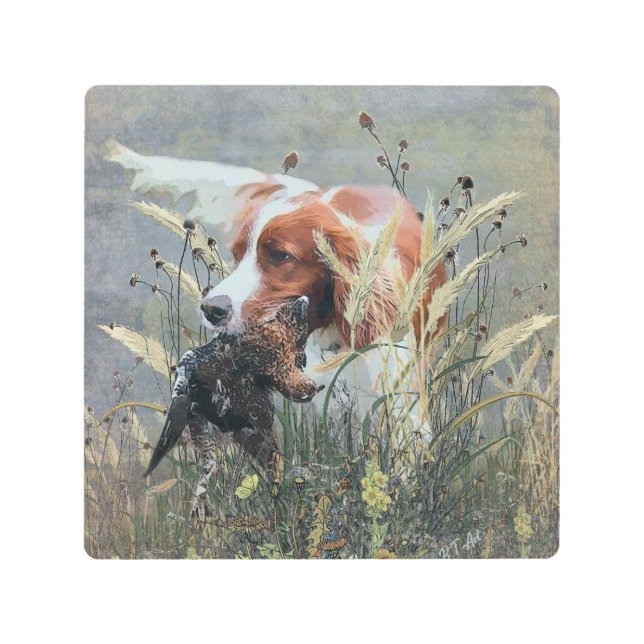 Impresión En Metal Caza con Epagneul Breton (Anverso)