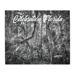 Impresión En Metal Celebración, Florida