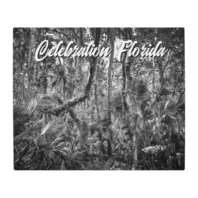 Impresión En Metal Celebración, Florida (Anverso)