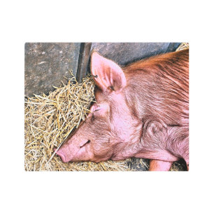 IMPRESIÓN EN METAL CERDO CUTIDO