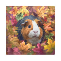 Cerdo de Guinea entre hojas de otoño