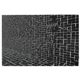 Impresión En Metal Chamelea