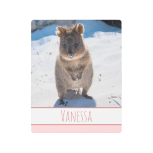 Impresión En Metal Chicas rosados niños Quokka Beach personalizado