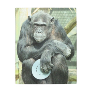IMPRESIÓN EN METAL CHIMPANZEE
