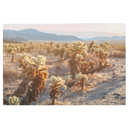 Impresión En Metal Cholla Cacti