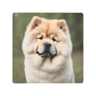 Impresión En Metal Chow Chow