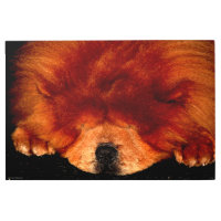 Chow durmiente 36x24 (90x60cm) wamecna