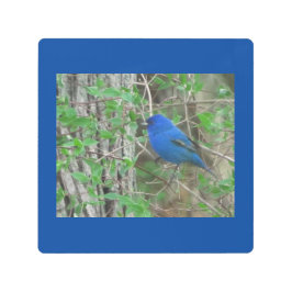 Impresión En Metal Cielo azul