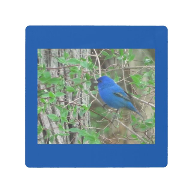 Impresión En Metal Cielo azul (Anverso)