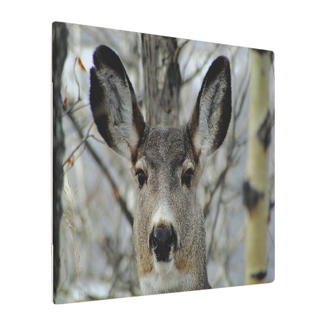 Impresión En Metal Cierre de Winter Mule Deer (Angulado)
