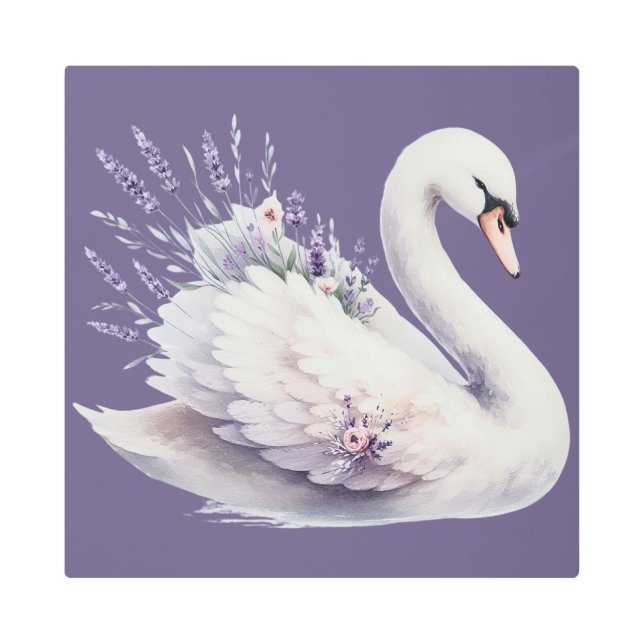 Impresión En Metal Cisne acuático con Florencia Lavender (Anverso)