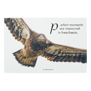 Impresión En Metal Cita inspiradora de águila calva en vuelo