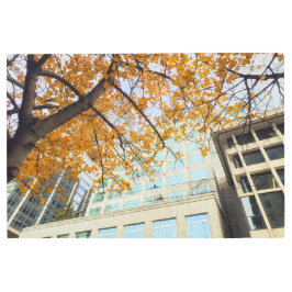 Impresión En Metal Ciudad de otoño