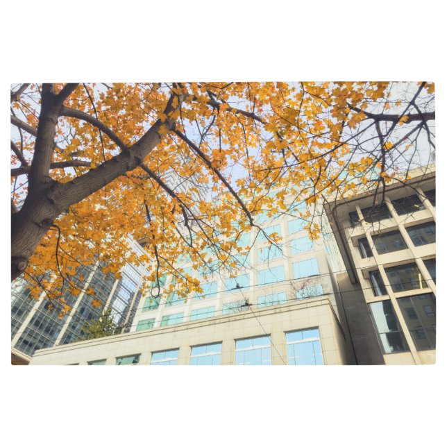 Impresión En Metal Ciudad de otoño (Anverso)