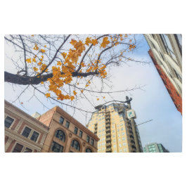 Impresión En Metal Ciudad de otoño
